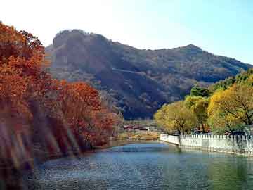 澳门二四六天天彩图库，餐具消毒设备价格